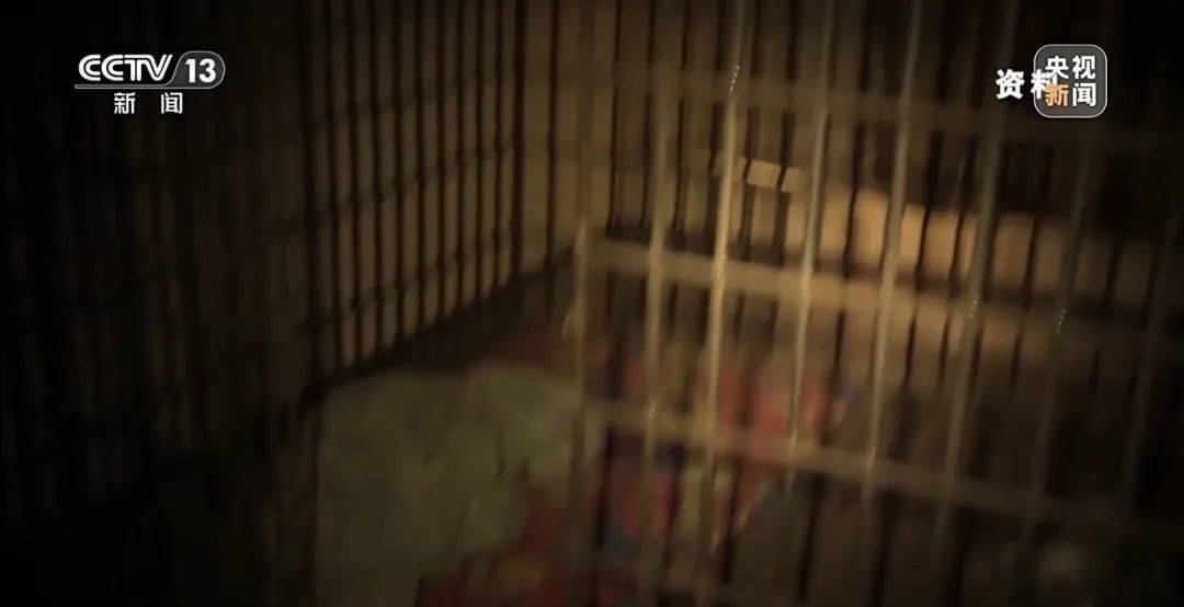 足球平台出租网_细节披露！18岁高中生被骗至缅甸：不听话白天暴晒晚上挨打足球平台出租网，被迫去搞网恋诈骗